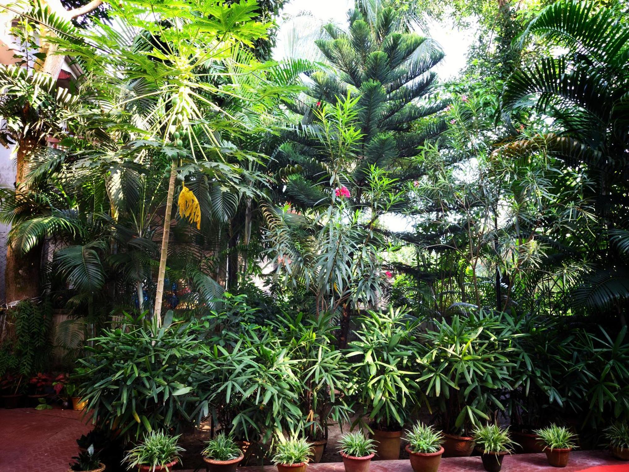 Chaiti Eco Homestay- Santiniketan Bolpur Extérieur photo